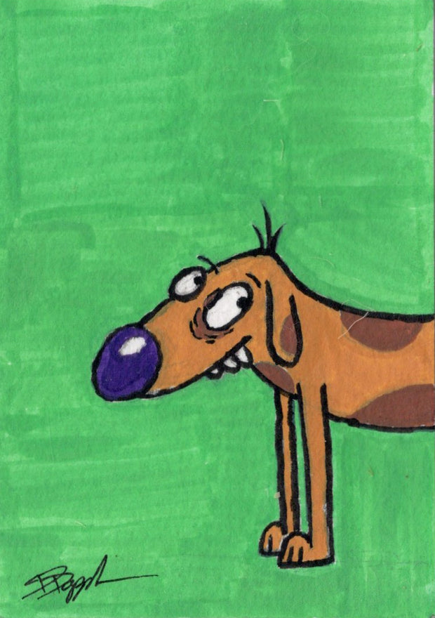 Dog of the Cat