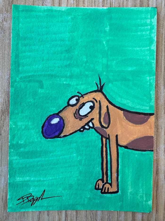 Dog of the Cat
